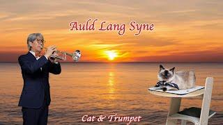 "Auld Lang Syne" 트럼펫커버(Trumpet Cover)