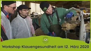 Workshop Klauengesundheit am 12.03.2020