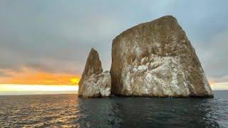 The Magnificent Beauty of the Galapagos