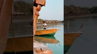 The Mangrove forests of Qeshm, Iran