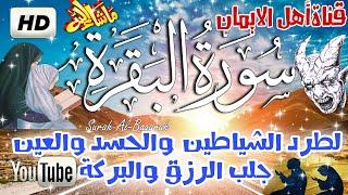 سورة البقرة كاملة مكررة لطرد الشياطين والجن والسحر والحسد وجلب الرزق والبركة تحصين surat albaqara