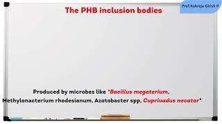 #Micro30 The Inclusion Bodies In Bacteria - The PHB inclusion bodies - Bacterial Cytology #shorts