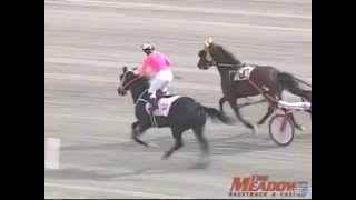 Chantal Sutherland Kruse - Trotting Time Trial Under Saddle  - Meadows Racetrack