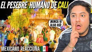 EL PESEBRE MÁS GRANDE DEL MUNDO EN CALI - Mexicano Reacciona *no lo podía creer* 