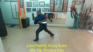 Wu dip dao - Lam Ka Hung Kuen- Shifu Kanishka