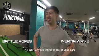 Inertia Wave ® vs. Battle Ropes