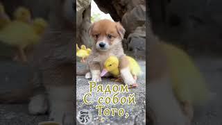 Доброе утро! Все будет хорошо!