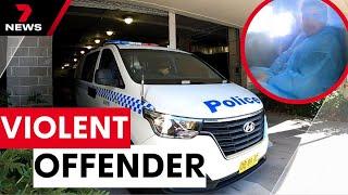 Police investigate yet another domestic violence murder | 7 News Australia