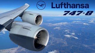 BUSINESS  Frankfurt - Tokyo  Lufthansa Boeing 747-8 [FULL FLIGHT REPORT]