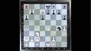 ChessMaster GME: Waitzkin J. Vs Palatnik S.