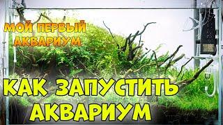 КАК ПРАВИЛЬНО ЗАПУСТИТЬ АКВАРИУМ - аквариумистика