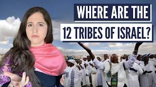 WHO ARE THE 12 TRIBES? And which tribe does my family belong to?