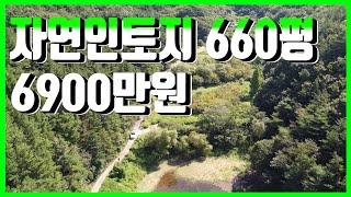 1963 울산시 울주군 두동면 봉계리,자연인토지 660평,6900만원