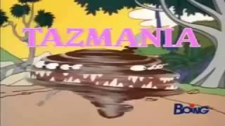 tazmania - sigla completa