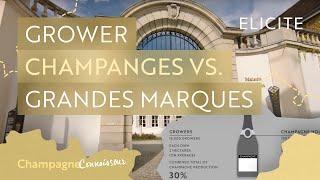 Champagne Houses: Growers Vs Grandes Marques