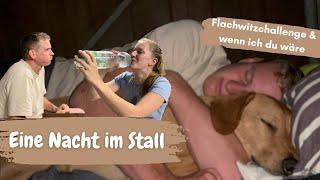 Eine Nacht im Stall - mit Flachwitzchallenge und "wenn ich du wäre"