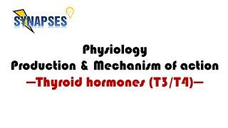 Thyroid Hormone (Physiology, Production & Mechanism of actions)