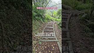 台北大縱走第七段：指南宮步道→指南宮→纜車指南宮站→綠光平台（遊字）→大成殿步道→茶展中心步道→纜車貓空站→樟樹步道→彩雲亭→樟山寺→飛龍步道→政大後山  #台北大縱走 #台北大縱走第七段