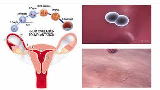 Living Environment - Human Reproduction