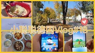 [小聪聪德国Vlog#18] 蒸蛋羹 | 不建议沃达丰网络 | 有人玩蚂蚁庄园吗| 德国的秋天真的来了