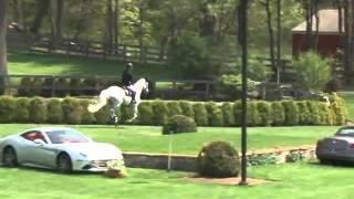 Video of PLUME DE LA ROQUE ridden by BEN ASSELIN from ShowNet!