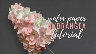 How to make wafer paper hydrangea. Wafer Paper Friday Ep. 5