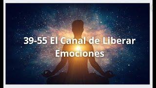 39-55 El Canal de Liberar EmocionesDISEÑO HUMANO