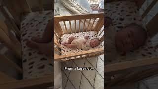 A bassinet, crib, and junior bed, all-in-one.  feat. our Yuzu 8-in-1 Crib