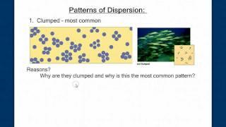 Population Ecology Part 1