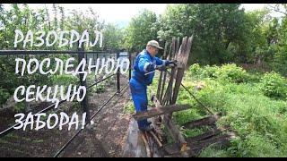 ГОРИЗОНТАЛЬНЫЕ ПОПЕРЕЧИНЫ забора из кусочков Уничтожение ТЛИ на красной смородине_20.05.2025