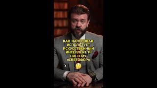 Как налоговая использует искусственный интеллект и систему «светофор»?