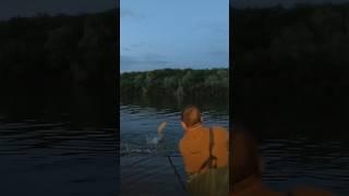 Вечеріло на,Дніпрі #крутарибалка #fishing #карась #сазан #короп