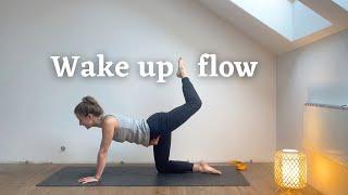 20 min daily full body flow | Yoga for Climbers with Ieva Luna