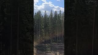 Допплата за вид?