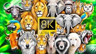 НЕВЕРОЯТНАЯ КОЛЛЕКЦИЯ ЖИВОТНЫХ 8K 60FPS ULTRA HD