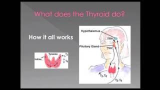 How To NaturallyTreat Thyroid Disease | Virtual Doctor | Dr. Clum