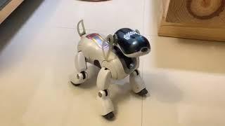 SONY AIBO 7M3 White Smart Robot Dog English version (SONY AIBO 7M3 白色智能机器狗 英文版)