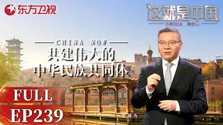 【最新EP239】节目组走进新疆,感受新疆人民热情,赞叹一带一路为新疆带来的深远影响！一起探讨如何共建伟大的中华民族共同体！｜#这就是中国｜FULL｜#上海电视台官方频道