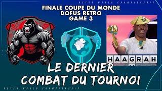 RWC Grande Finale : Qui sera Champion du Monde ? - ZOO (Allisteria) vs Haagrah (Boune)