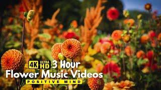 Beautiful Flowers ~ Planet Earth Amazing Nature Scenery & The Best Relax Music • 3 HOURS