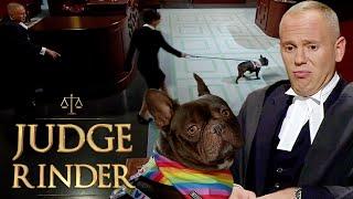 'Come Back!' Floor Destroying Dog Rejects Judge Rinder & Causes Chaos In Court | Judge Rinder