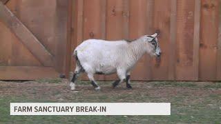 Lancaster Farm Sanctuary target of attempted burglary