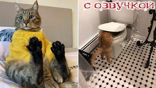 Funny animals! Funniest Cats and Dogs - 108
