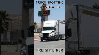 TRUCK SPOTTING #01499 / FREIGHTLINER #automobile #semitrailer #trucking