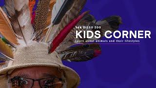 Kids Corner Episode 1 - Animal Builders