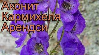 Аконит гибридная Кармихеля Арендси  обзор: как сажать, рассада, саженцы аконита Кармихеля Арендси