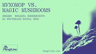 Fly agaric vs psi Mikhail Vishnevskiy at Signal 2021 ENG subtitles