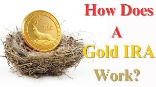 Gold IRA Pros and Cons (HOW THEY WORK) -  Gold Investing