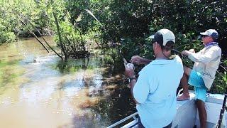 THE BOOF | A Tiwi Islands Adventure