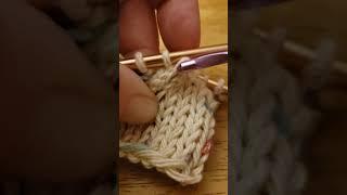 Fixing a dropped stitch for Michelle's friend 